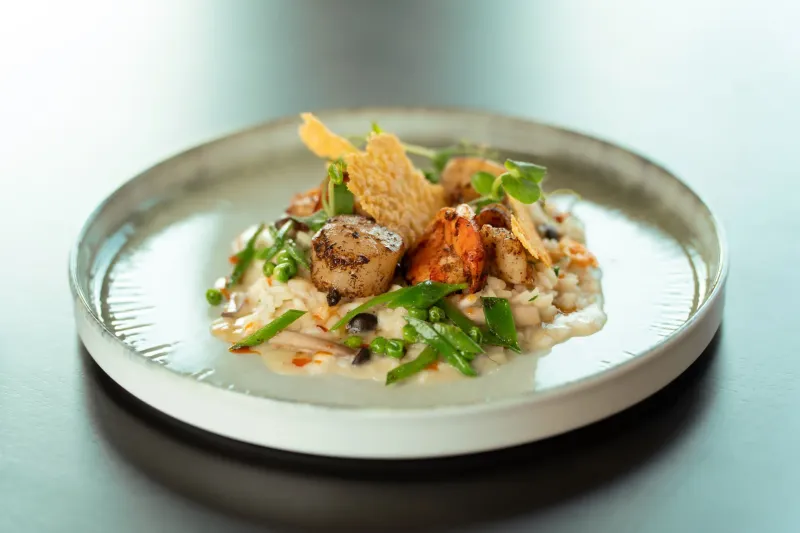 Jays Signature Special Mare Monti Pilzrisotto, gebratene Jakobsmuschel und Riesengarnele